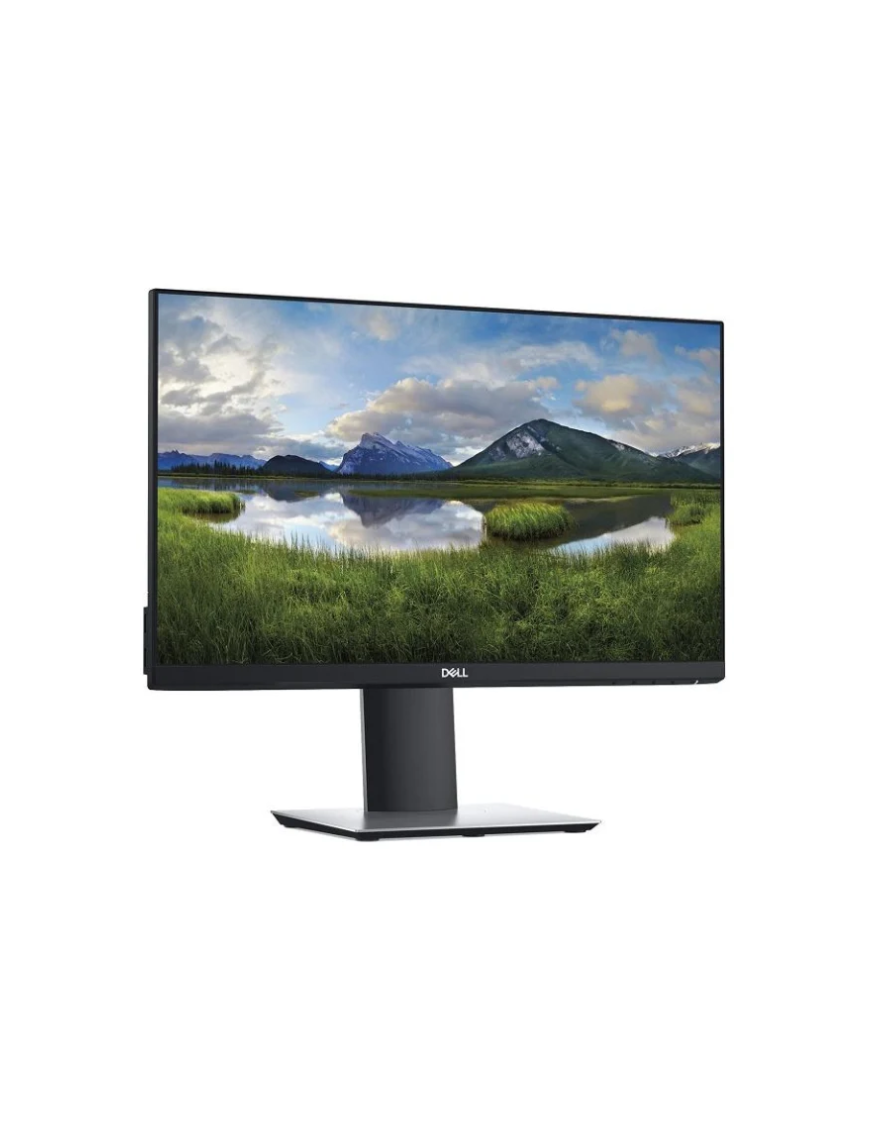 DELL P2319H 23"