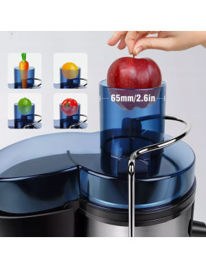 Profesjonalna Sokowirówka Nierdzewna Wysokoobrotowa do Owoców 800W - Szara